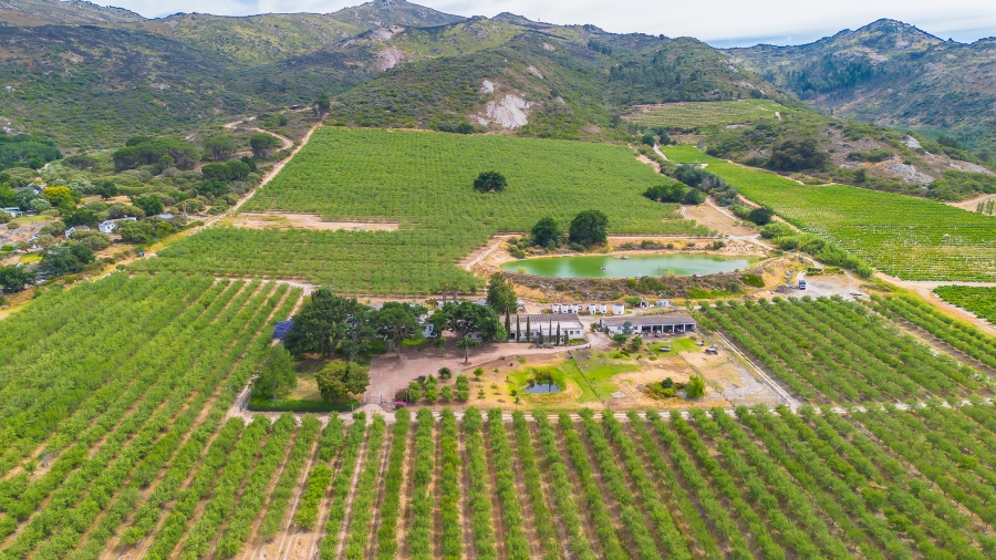 4 Bedroom Property for Sale in Paarl Rural Western Cape